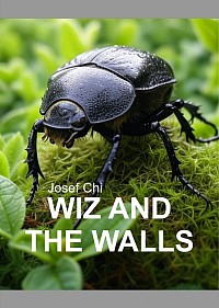 Cover 16